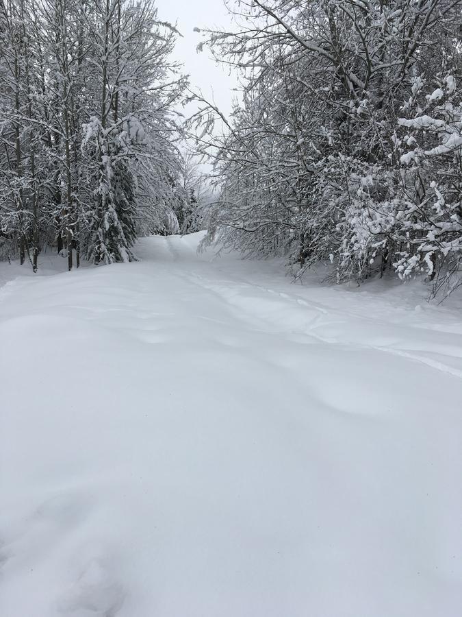Auberge De Violaine Le Monêtier-les-Bains Kültér fotó